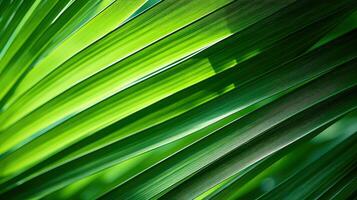 natuurlijk zomer macro achtergrond structuur ai gegenereerd foto