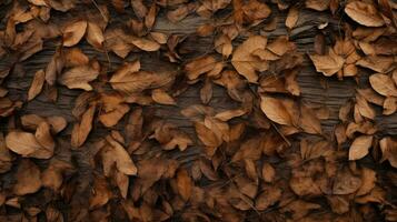 Woud natuur hout bruin top visie ai gegenereerd foto