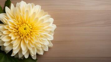 chrysant bloem Aan hout achtergrond met kopiëren ruimte, ai generatief foto