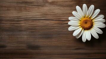 madeliefje bloem Aan hout achtergrond met kopiëren ruimte, ai generatief foto