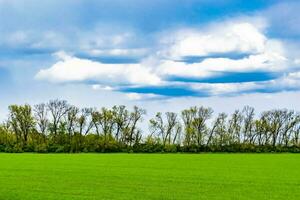 mooi horizon landschap in dorp weide Aan kleur natuurlijk achtergrond foto