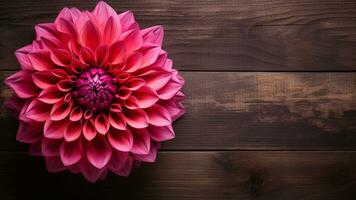 mooi dahlia bloem Aan hout achtergrond met kopiëren ruimte, ai generatief foto