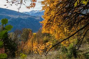 Zwitsers Alpen landschap in herfst foto