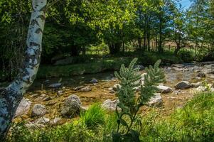 cevennes nationaal park foto