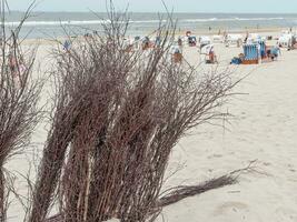 eiland spiekeroog in duitsland foto