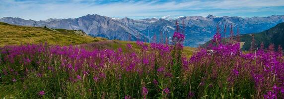 Zwitsers Alpen landschap foto