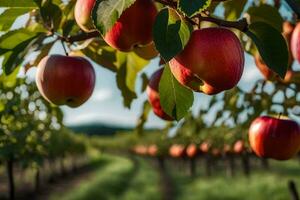 appels zijn groeit Aan een boom in een boomgaard. ai-gegenereerd foto