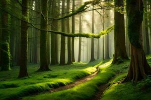 een pad door een Woud met bomen en gras. ai-gegenereerd foto