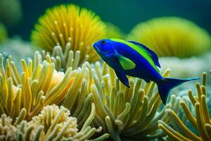 een blauw en geel vis zwemmen in een oceaan. ai-gegenereerd foto