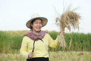 gelukkig Aziatisch vrouw boer draagt hoed, geel shirt, houdt sikkel naar oogst rijst- Bij rijstveld veld. concept, landbouw bezigheid, boer toenemen biologisch rijst. Thais boer levensstijl. foto