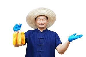 knap Aziatisch Mens boer draagt hoed, blauw overhemd en handschoenen, houden likdoorns, maken hand- gebaar naar Cadeau Product, geïsoleerd Aan wit achtergrond. concept, landbouw bezetting foto