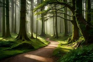 een pad door een groen Woud met bomen. ai-gegenereerd foto