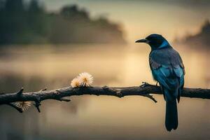 een blauw vogel zit Aan een Afdeling in de buurt een meer. ai-gegenereerd foto