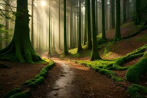 een pad door een Woud met bomen en mos. ai-gegenereerd foto