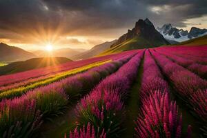 de zon stijgt over- een veld- van lavendel bloemen in de bergen. ai-gegenereerd foto