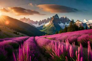 de zon stijgt over- lavendel velden in de bergen. ai-gegenereerd foto