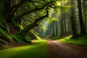 een pad door een groen Woud met bomen en zonnestralen. ai-gegenereerd foto