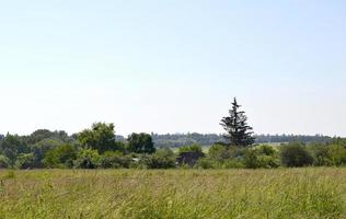 prachtig horizonlandschap in dorpsweide foto