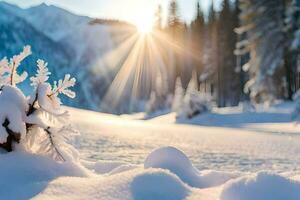 sneeuw gedekt bomen en de zon schijnend door de sneeuw. ai-gegenereerd foto