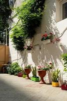 kleurrijke bloemenstraat met witte bakstenen muur in mediterrane stad foto