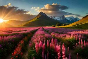 de zon schijnt over- een veld- van Purper bloemen. ai-gegenereerd foto