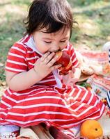 schattige kleine baby in een rode jurk en srtaw hoed op een picknick in het park