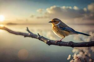 een vogel zit Aan een Afdeling in voorkant van de water. ai-gegenereerd foto