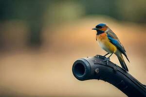 een klein vogel is zittend Aan top van een pijp. ai-gegenereerd foto