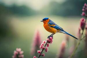 een blauw en oranje vogel zittend Aan een roze bloem. ai-gegenereerd foto