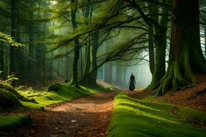 een persoon wandelen door een Woud met bomen en mos. ai-gegenereerd foto