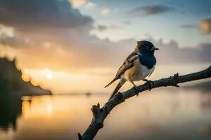 een vogel zit Aan een Afdeling Bij zonsondergang. ai-gegenereerd foto