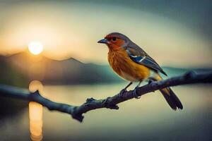 een vogel zit Aan een Afdeling Bij zonsondergang. ai-gegenereerd foto