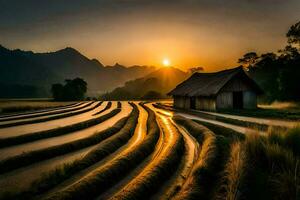 de zon sets over- een rijst- veld- in Vietnam. ai-gegenereerd foto