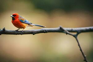 een rood en blauw vogel zittend Aan een Afdeling. ai-gegenereerd foto