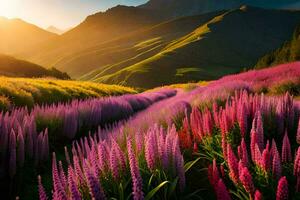 de zon schijnt Aan de Purper bloemen in de bergen. ai-gegenereerd foto