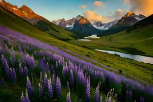 de lupine bloemen zijn bloeiend in de bergen Bij zonsondergang. ai-gegenereerd foto