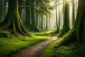een pad door een groen Woud met bomen en zonnestralen. ai-gegenereerd foto