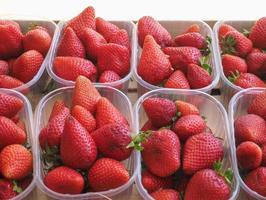 aardbeien in fruitdoos foto