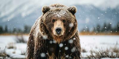 een grizzly beer wandelen sneeuwstorm ai generatief foto