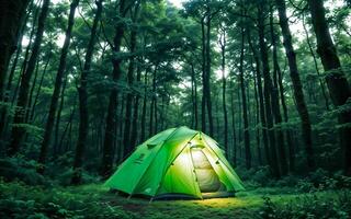 sterrenhemel kalmte camping onder de hemel- luifel ai gegenereerd foto
