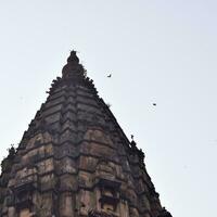 mooi visie van orchha paleis fort, raja mahal en chaturbhuj tempel van jahangir mahal, orcha, madhya pradesh, jahangir mahal orchha fort in orcha, madhya pradesh, Indisch archeologisch sites foto