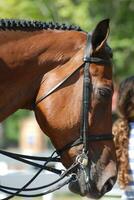 geplakt paard onder zadel met teugel en vlechtjes foto