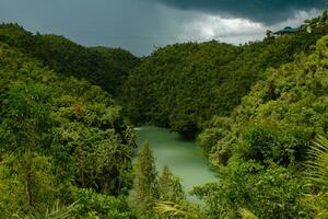 visie van oerwoud groen rivier- lobo Bij bohol eiland foto