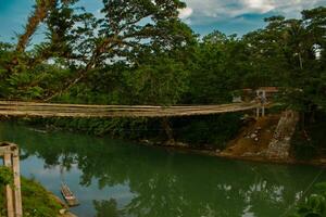 visie van sipatan tweeling hangende brug over- lobo rivier- Aan bohol eiland foto