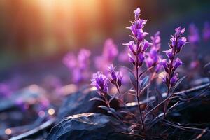 lavendel in de Woud natuur landschap ai gegenereerd foto