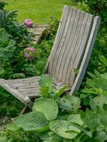 zomertijd in de tuin foto