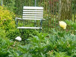 zomertijd in de tuin foto