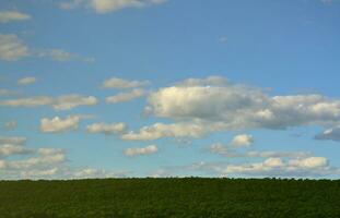 een landelijk landschap met een groen veld- van laat zonnebloemen onder een bewolkt blauw lucht foto