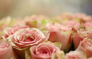 goud diamant verloving ring in mooi roze roos bloem tussen groot bedrag van rozen in groot boeket dichtbij omhoog foto