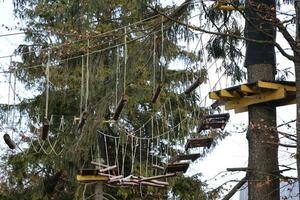 touw brug in avontuur boomtop park voor boom beklimming en sport, boomkwekerij of accrobranche touwen cursussen, ritssluiting draden buitenshuis foto